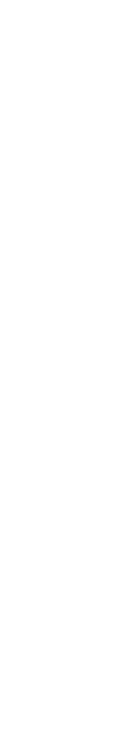 nexi ads